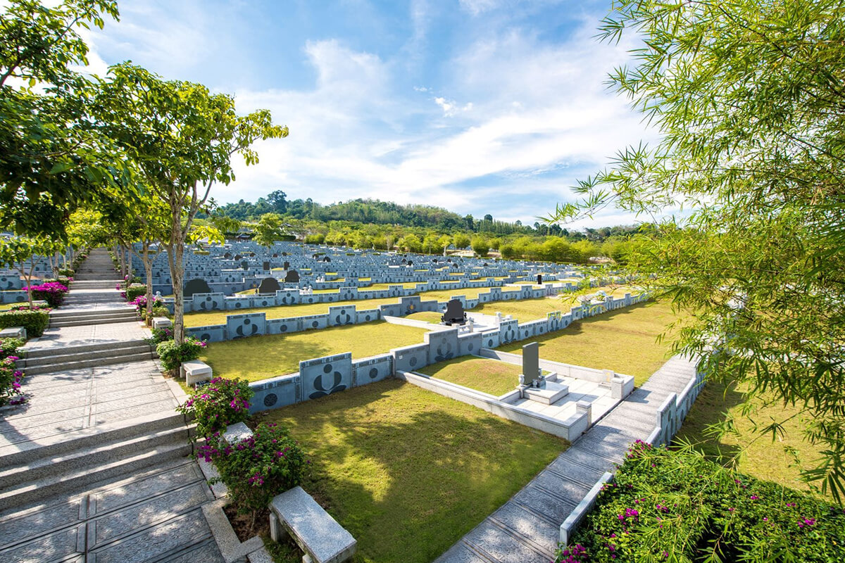 Double & Single Lot 1