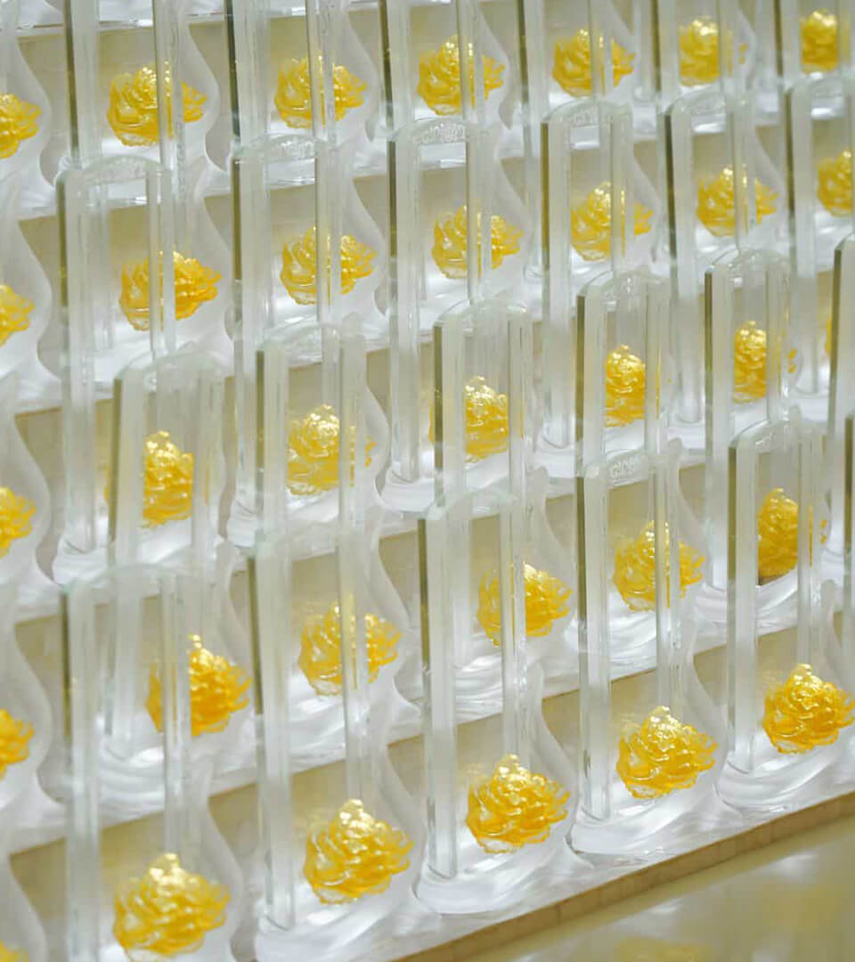 Honouring Our Roots 1