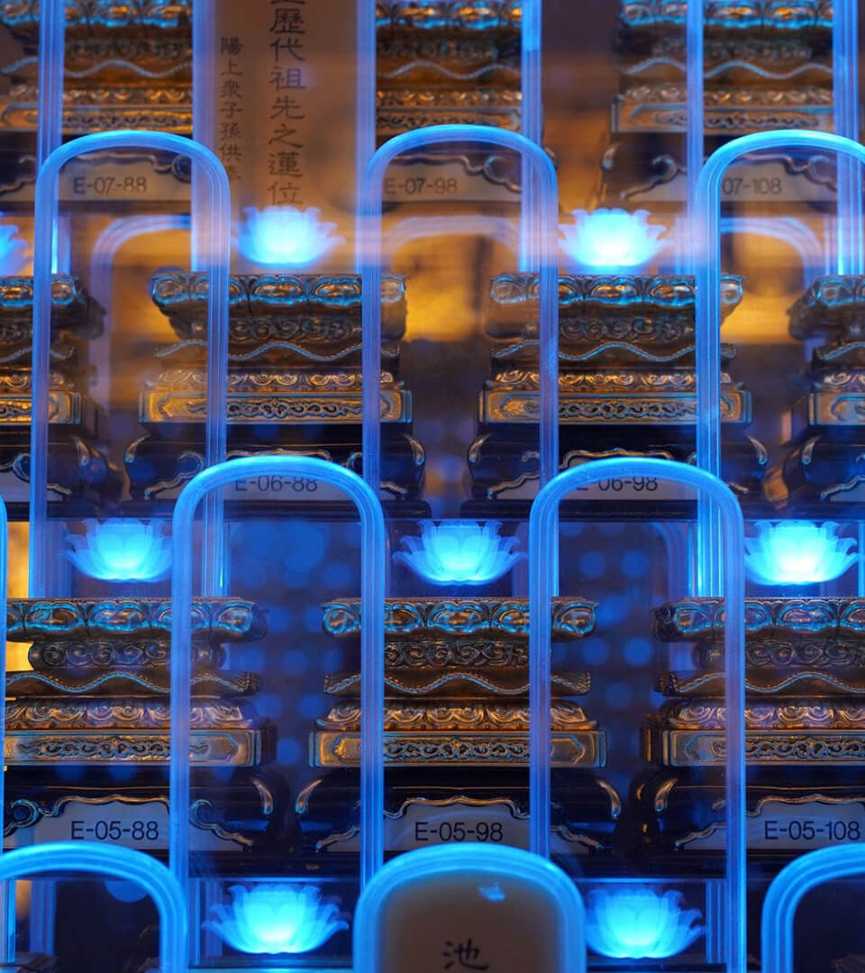 Honouring Our Roots 4