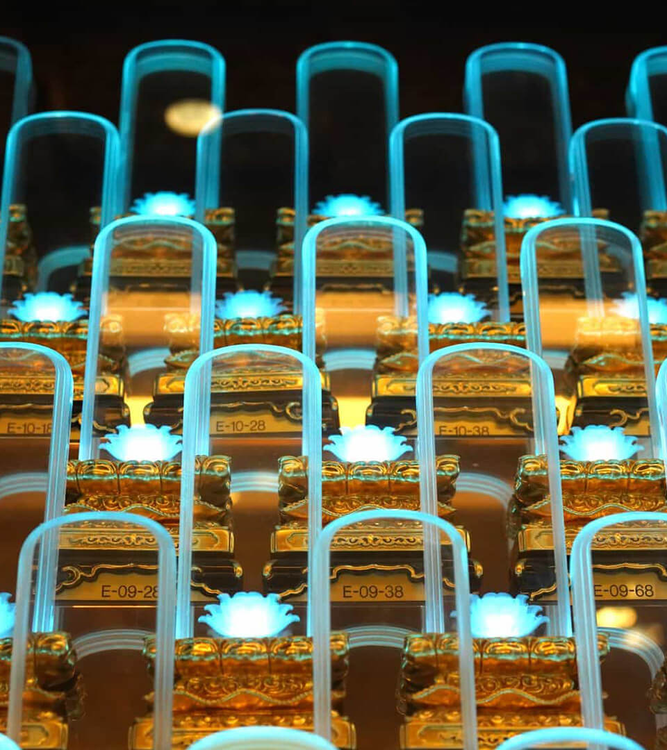 Honouring Our Roots 5